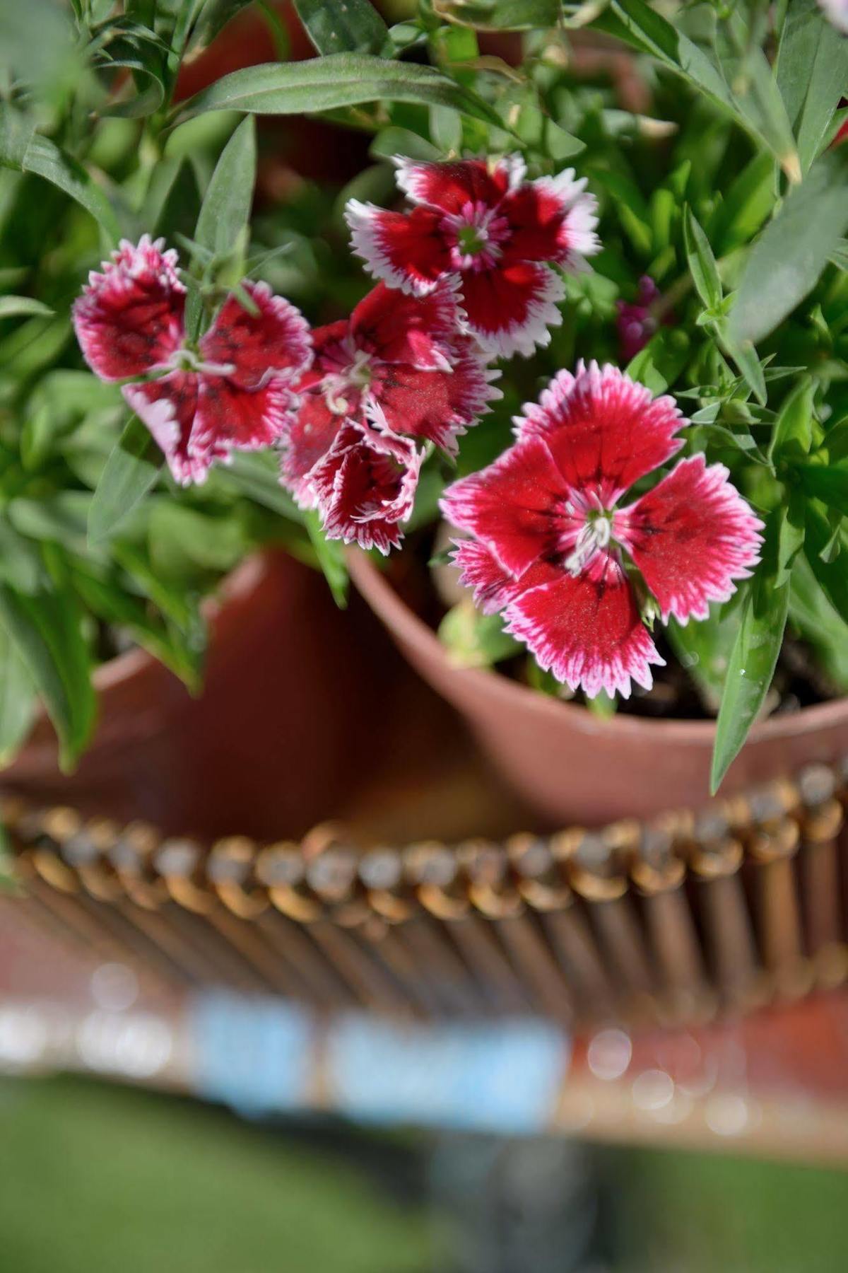 La Tua Casa Hotel Boutique Cochabamba Dış mekan fotoğraf